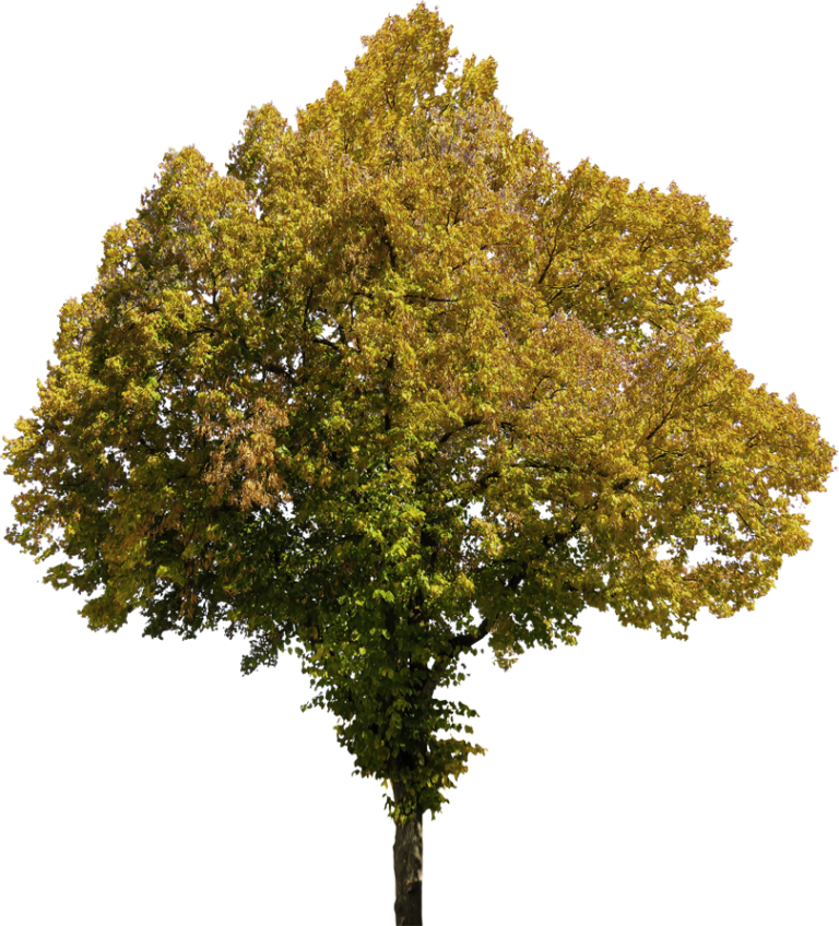 Купить готовый дом в Тихорецка